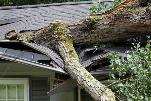 Cost of Storm Remediation in Lansing