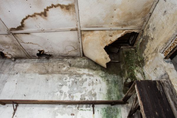 Water Damage Service in Lansing