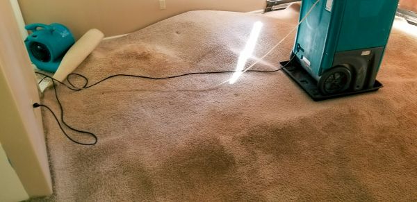 Flood Damage Cleanup in Lansing
