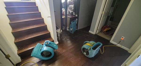Water Damage Remediation in Lansing