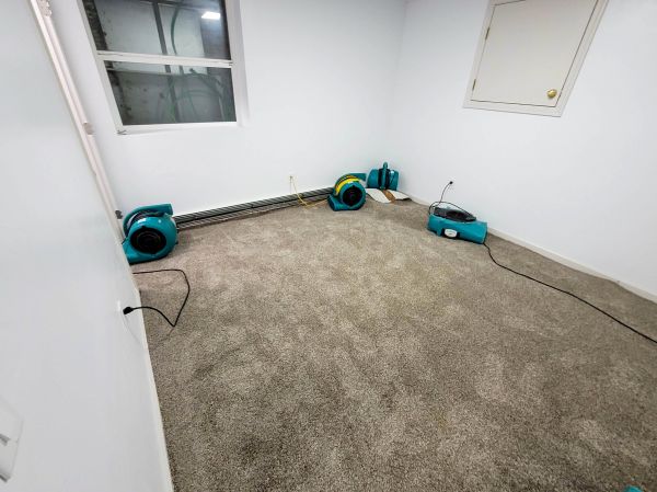Flood Restoration Service in Lansing