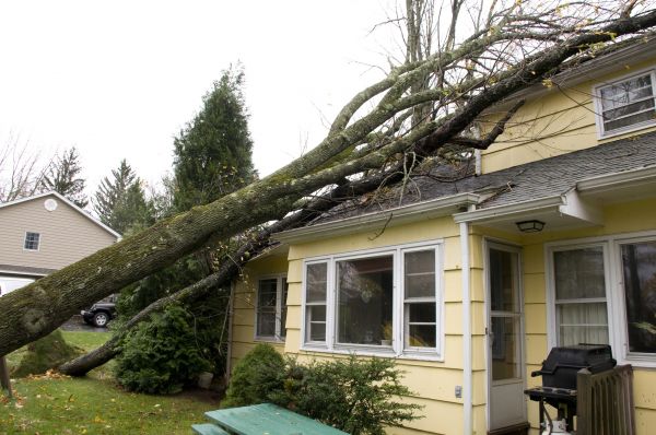 Hurricane Damage Repair in Lansing