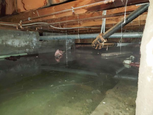 Crawlspace Water Restoration in Lansing